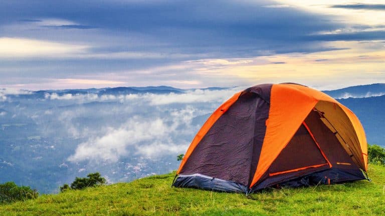 tent with mold