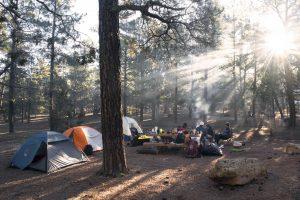 how to clean a tent with mold